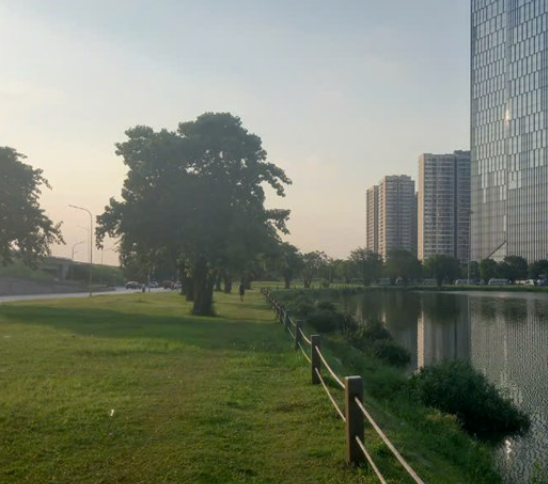 đặt cọc mua chung cư