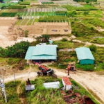 Quyết định thu hồi đất