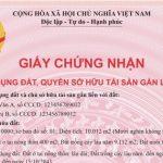 chungnhan1