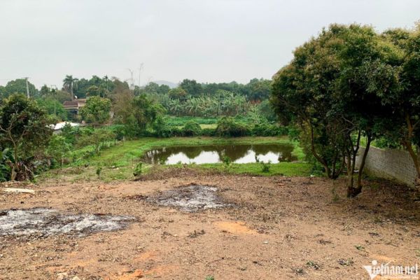 Đất trồng cây của gia đình Ai có quyền sử dụng?